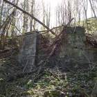 Fotka nr 5 z 30