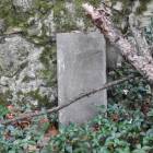 zdjęcie nr 36