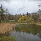 zdjęcie nr 33