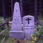 zdjęcie nr 8