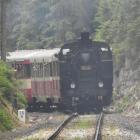 zdjęcie nr 57
