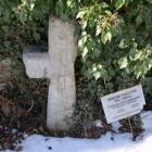 zdjęcie nr 27