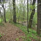 zdjęcie nr 21