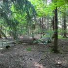 zdjęcie nr 16