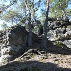 zdjęcie nr 