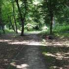 zdjęcie nr 12