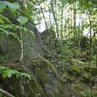 zdjęcie nr 31