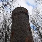 zdjęcie nr 8