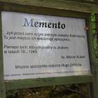 zdjęcie nr 13