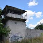 Fotka nr 4 z 11