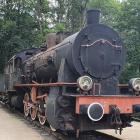 Fotka nr 4 z 13