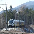 Fotka nr 5 z 19