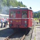 Fotka nr 3 z 12
