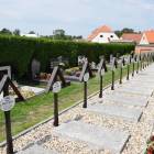 zdjęcie nr 50
