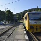 Fotka nr 5 z 18