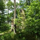 zdjęcie nr 8