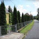 zdjęcie nr 8