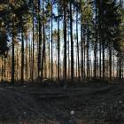 zdjęcie nr 30