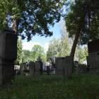 zdjęcie nr 7