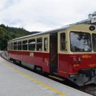 zdjęcie nr 21