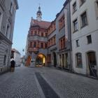 zdjęcie nr 8