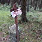 zdjęcie nr 15