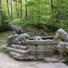 zdjęcie nr 8