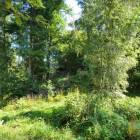zdjęcie nr 53