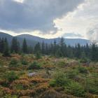zdjęcie nr 21