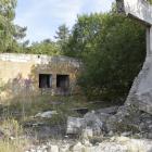 Fotka nr 4 z 20