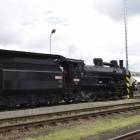 zdjęcie nr 28