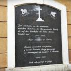 zdjęcie nr 8