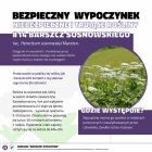 zdjęcie nr 14