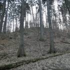 zdjęcie nr 11