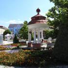 zdjęcie nr 9