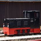 zdjęcie nr 7