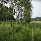 zdjęcie nr 29