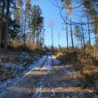 zdjęcie nr 16