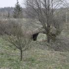 zdjęcie nr 9