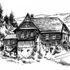 zdjęcie nr 35