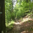 zdjęcie nr 26