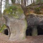 zdjęcie nr 36