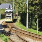 zdjęcie nr 26