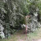 zdjęcie nr 10