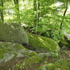 zdjęcie nr 22