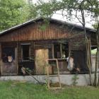 zdjęcie nr 31