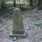 zdjęcie nr 8