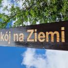 Fotka nr 5 z 9