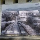 Fotka nr 4 z 41
