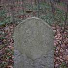zdjęcie nr 9